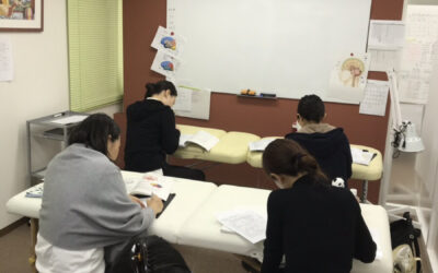 CIBTAC解剖学 授業