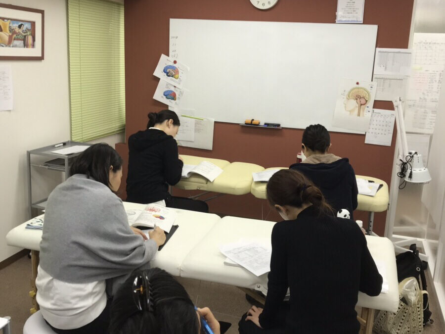 CIBTAC解剖学 授業