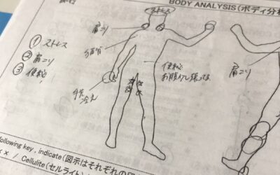 CIBTACボディコース