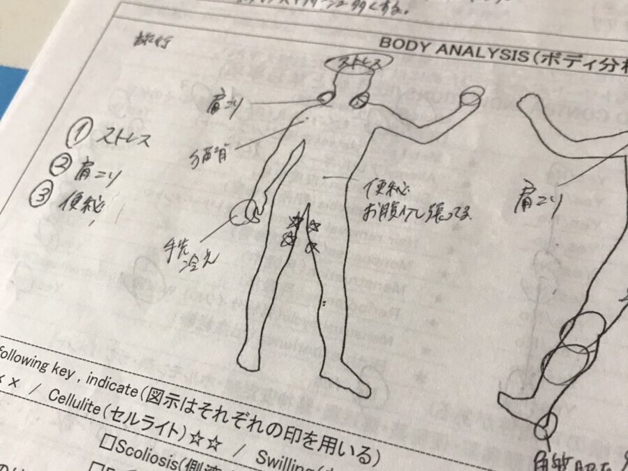 CIBTACボディコース