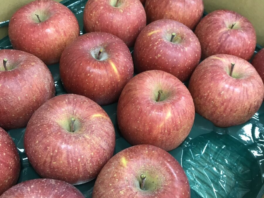 CIBTACボディクラス /リンゴでパワーアップ