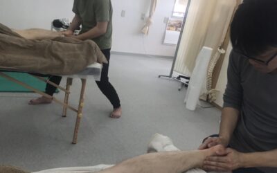 毎週長野でのスクーリング/CIBTAC認定校テシオ