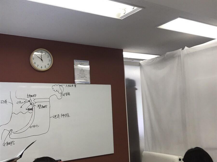 CIBTAC 楽しく生理解剖学学んでます👍👍🎓