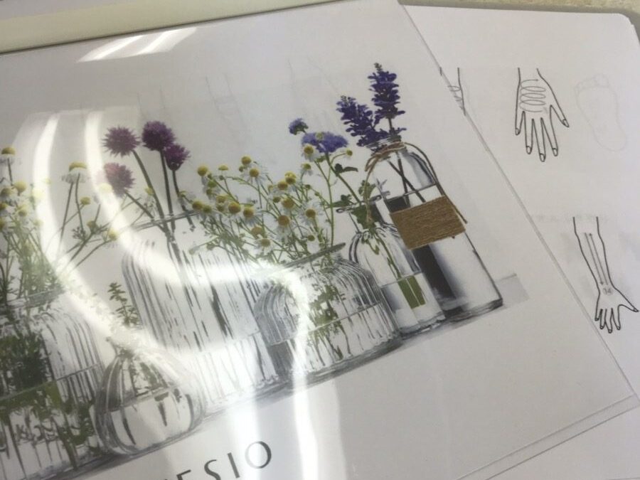 CIBTAC認定校テシオ セミナー