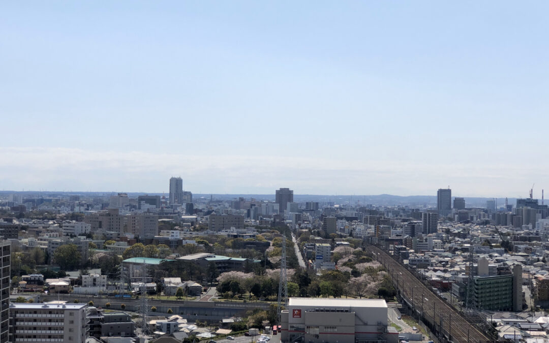 今年の桜は自宅から