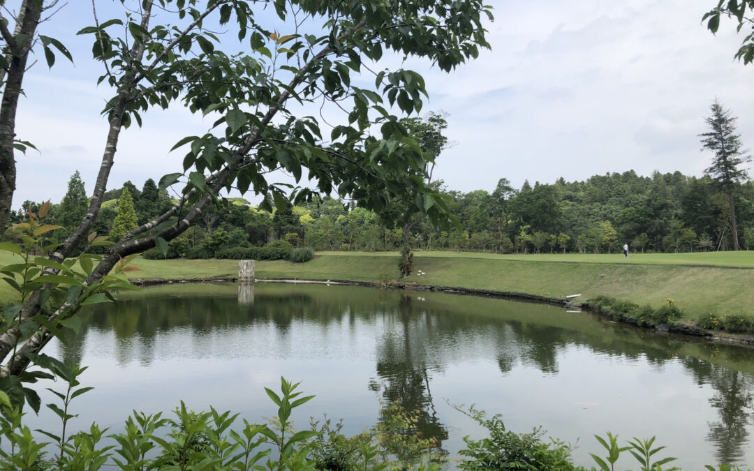 新入社員はやっぱりフレッシュ！！