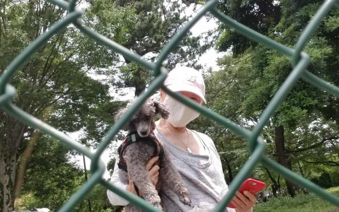 フェンス越しの再開