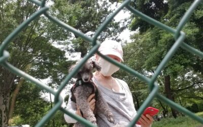 フェンス越しの再開